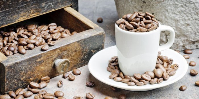 caffe-sofia-001-700x465