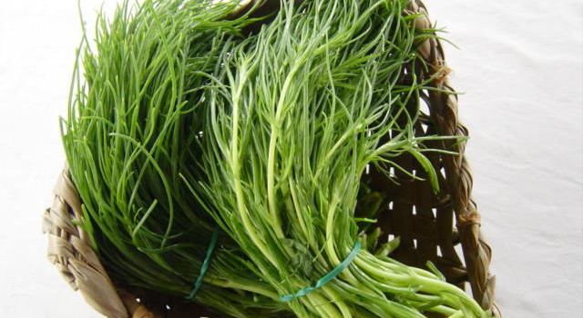 agretti1
